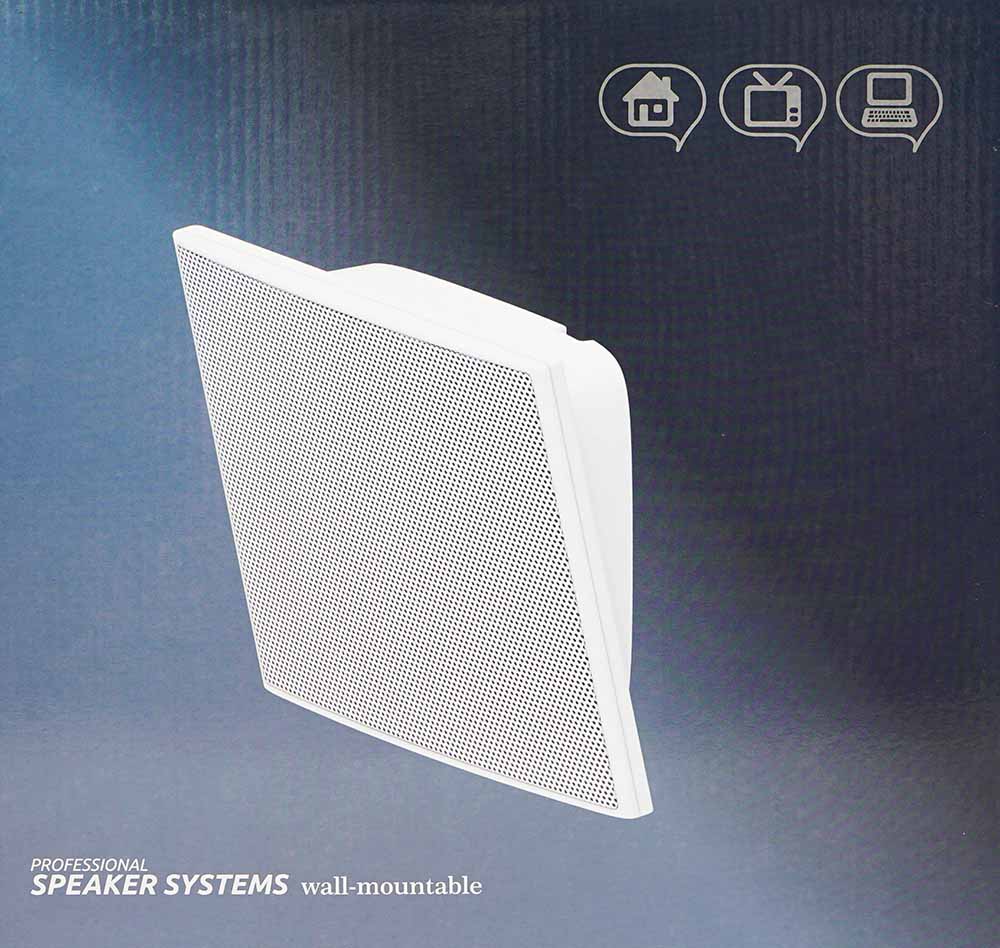 Loa treo tường bosa F670