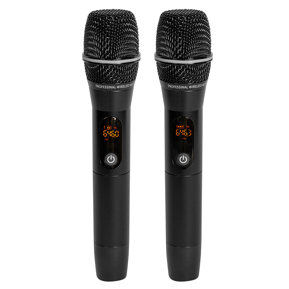 LOA KÉO DI ĐỘNG BOSA PA12