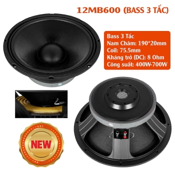 BASS 3 TẤC 12MB600