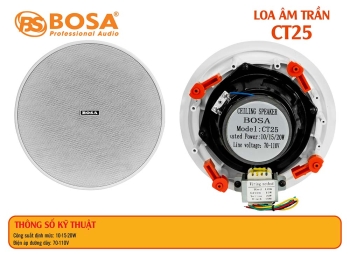 Loa âm trần bosa CT25