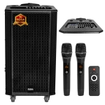 LOA KÉO DI ĐỘNG BOSA PA12